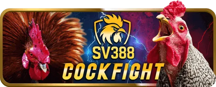 Biểu tượng rút tiền sớm (cash out), minh họa tính năng tại V7BET